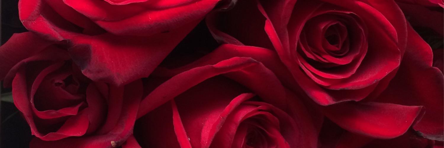 HissaAlansari's profile banner image