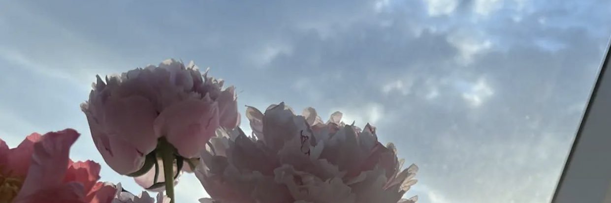 moni_bmots7613's profile banner image