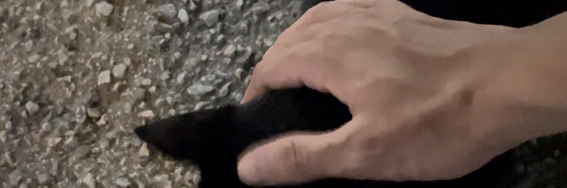muffintine's profile banner image