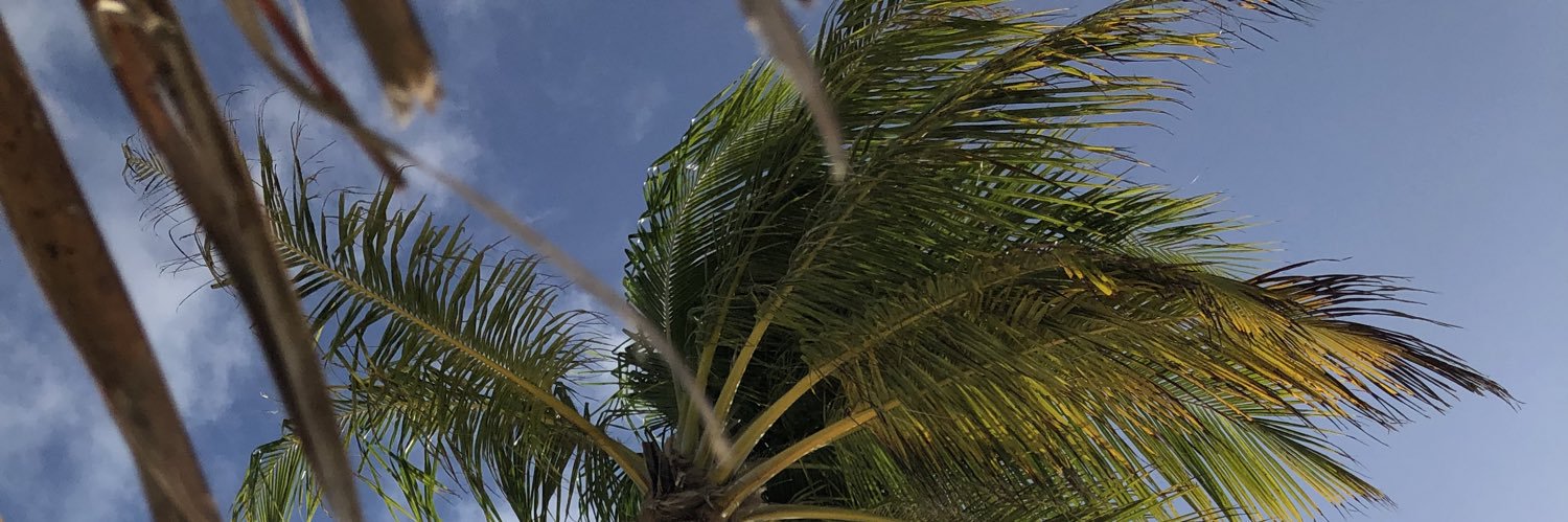 TaherDee's profile banner image