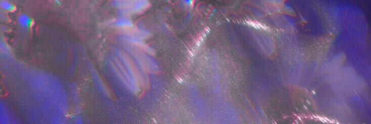 𝓜𝓮𝓵𝓲⁷ Vió a BTS 💛🌙 banner