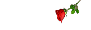 abarahm's profile banner image