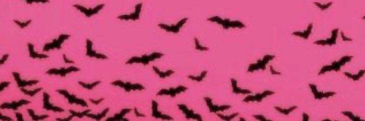 🦇🩷🖤 banner