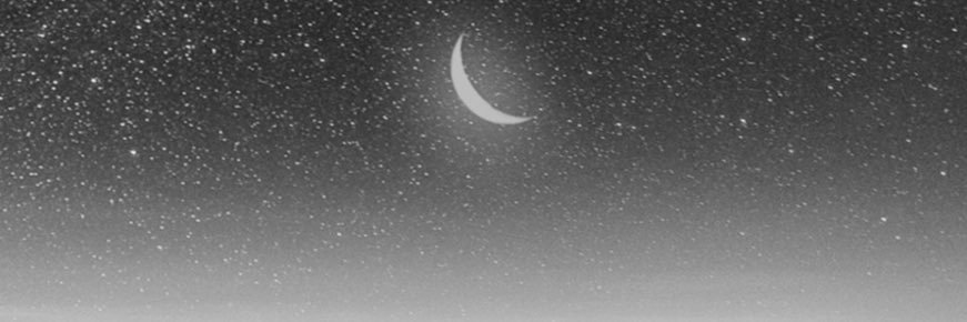 Ribkaribs's profile banner image