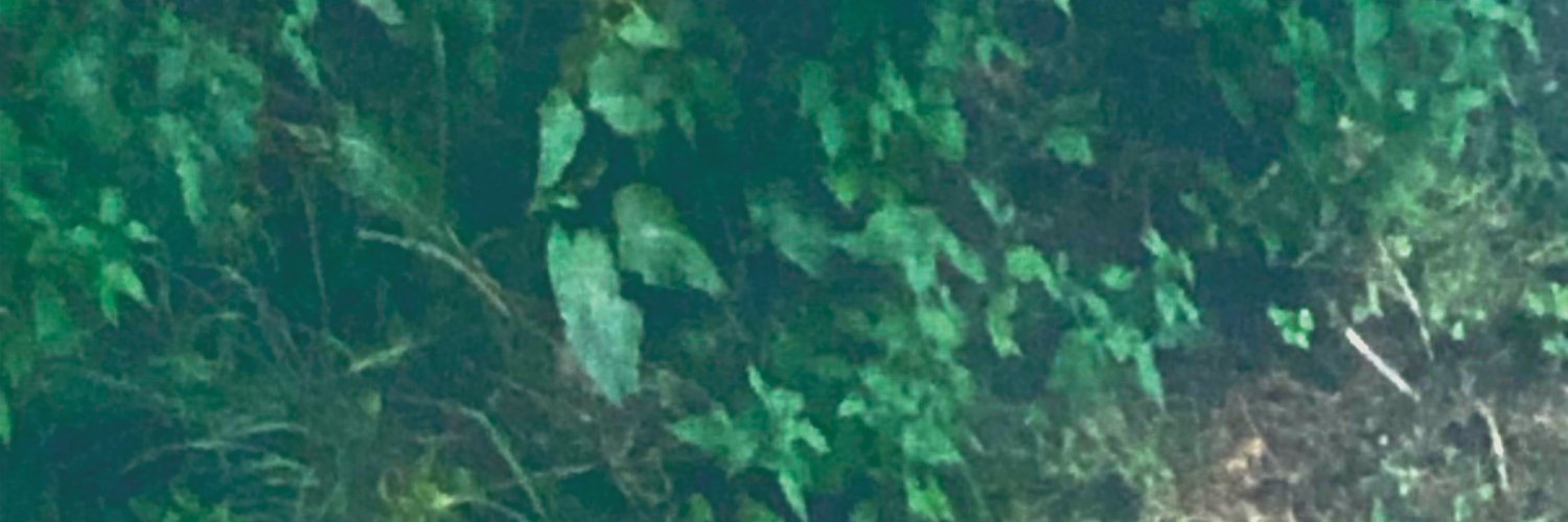 aiakared's profile banner image