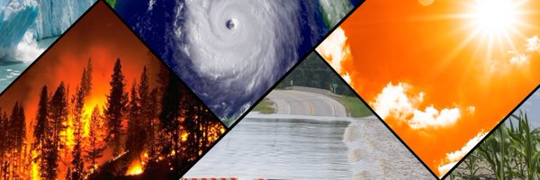 2021boilingfrog Profile Banner