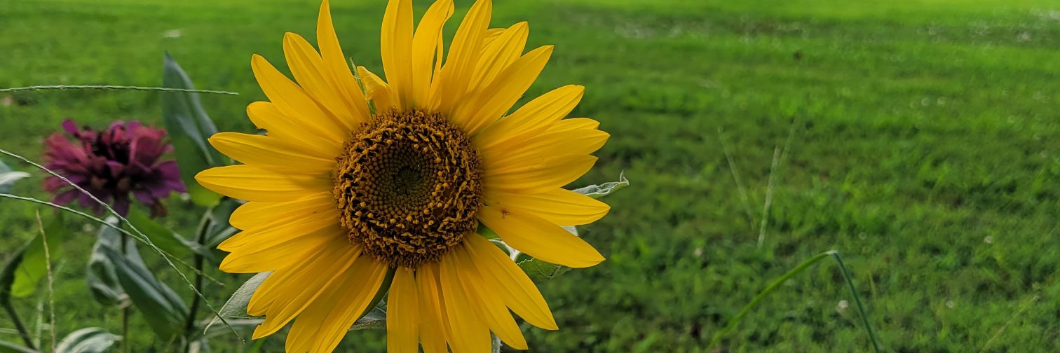 sherrybeaty's profile banner image