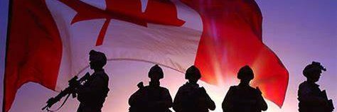 Nephalem 🇨🇦 banner