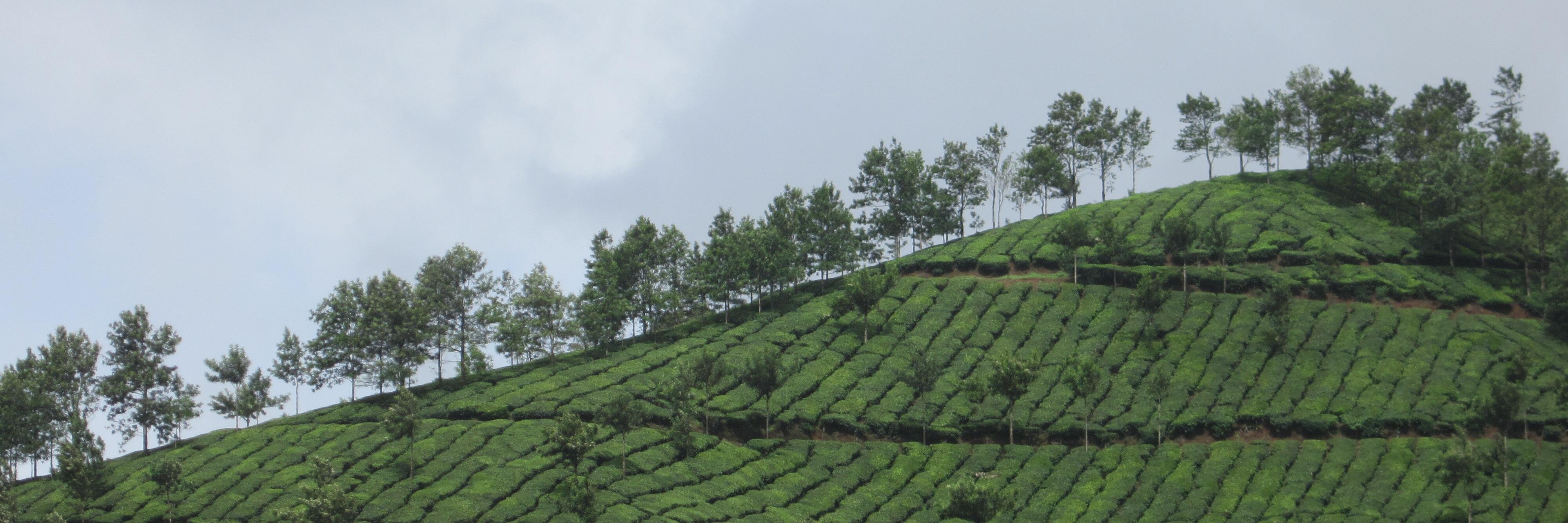 KabilashMani's profile banner image