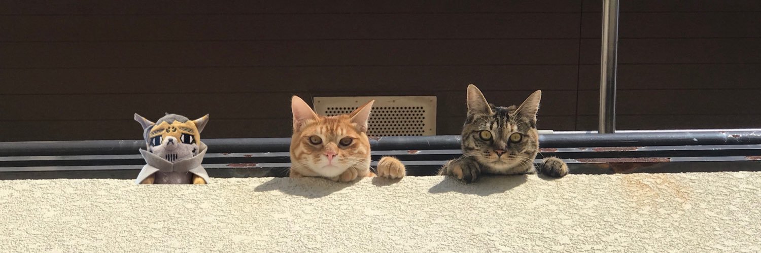 ねこいち's banner