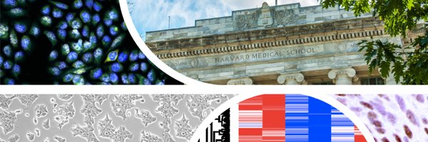 im_schaefer Profile Banner