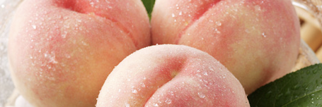 Ryu Blockchain HODL banner