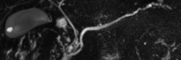 SAR_Pancan_DFP Profile Banner