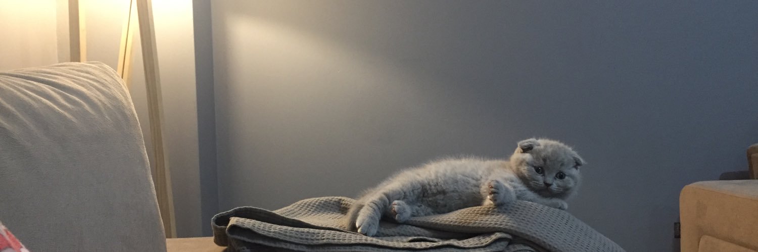 BBykln's profile banner image