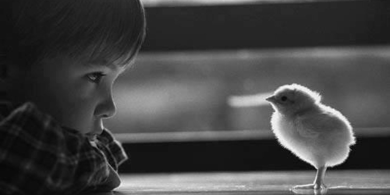 HaticeErDuman's profile banner image
