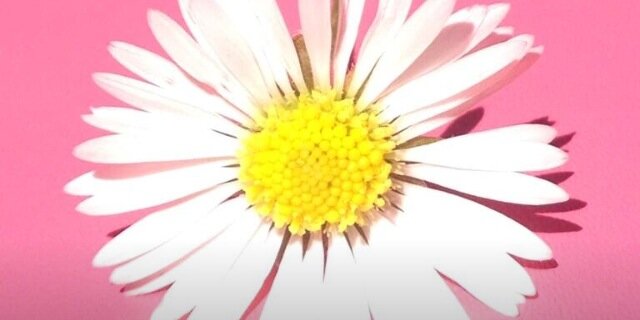 RachelTaylor710's profile banner image