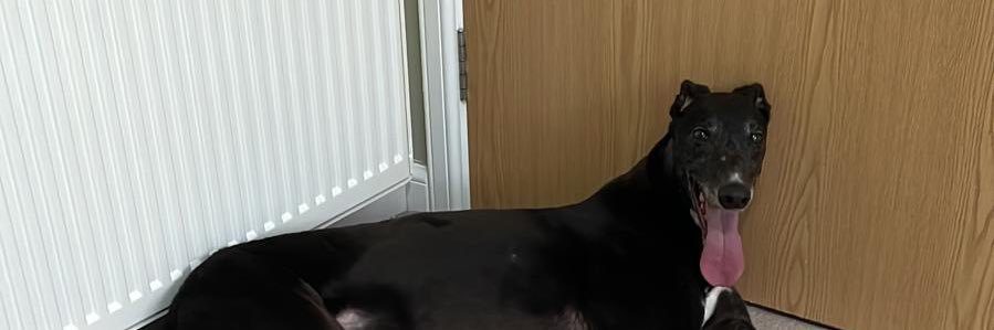 Sister Mary Sebastian banner