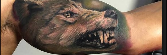 17_JoseR's profile banner image