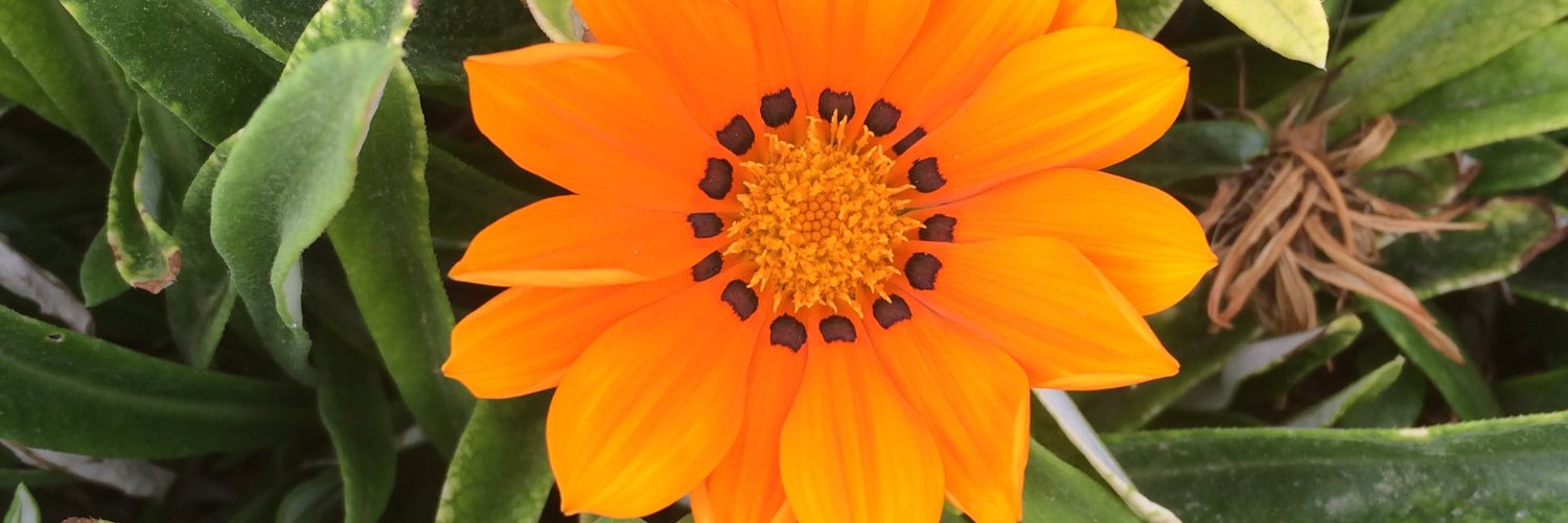 HMJ's profile banner image