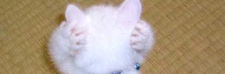 mikakero's profile banner image