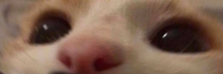 scyyaAlwi's profile banner image