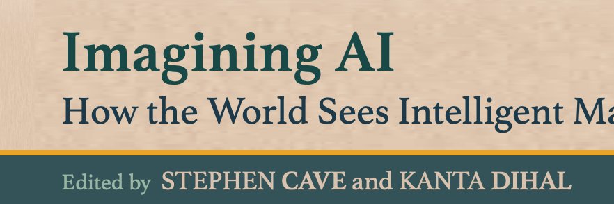 Stephen Cave banner
