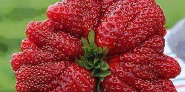 mriam_ali's profile banner image
