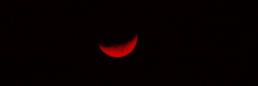 cherryspruce's profile banner image