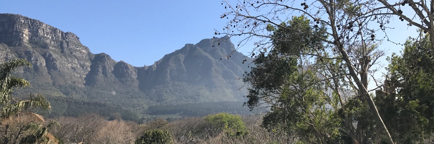 Lopicho's profile banner image