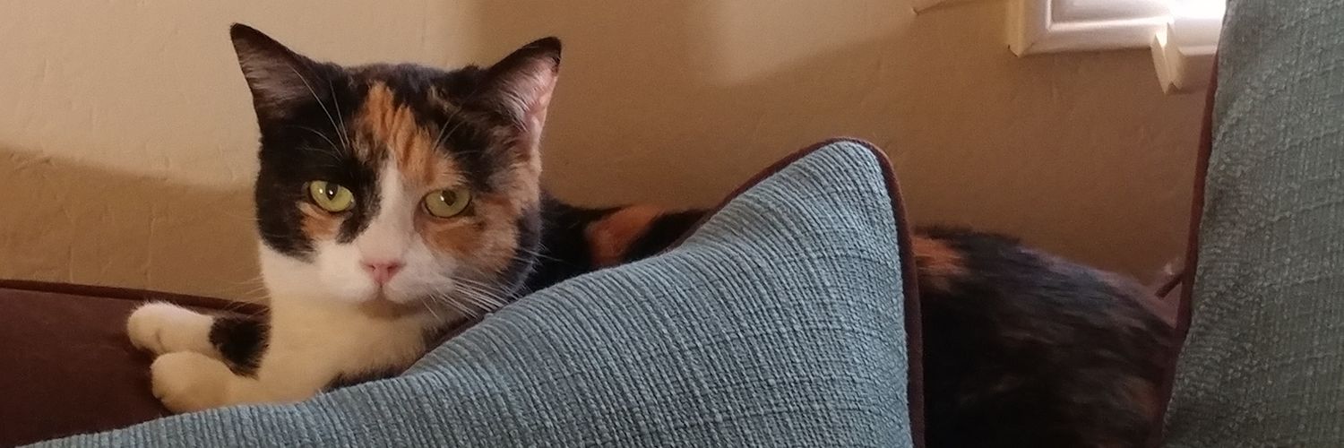 SheililahDee's profile banner image