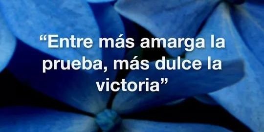 AmparitoTello's profile banner image