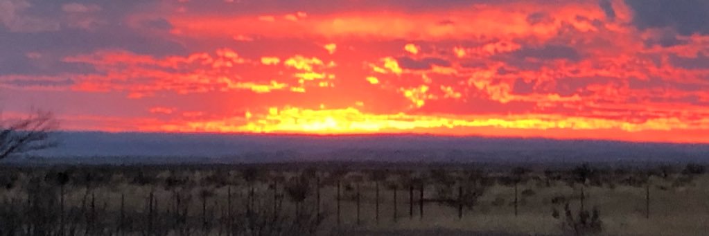 matthewlamon's profile banner image