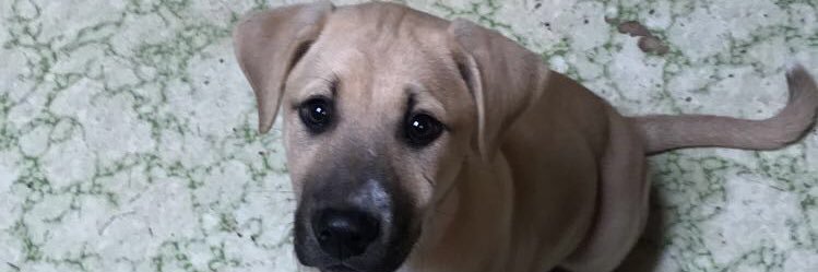 Karrigan_Kinzer's profile banner image