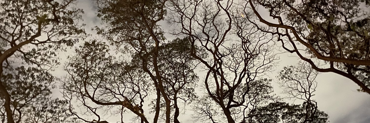 mockingjaaane's profile banner image