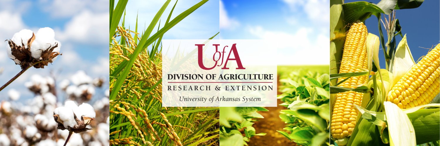 Arkansas Row Crops banner