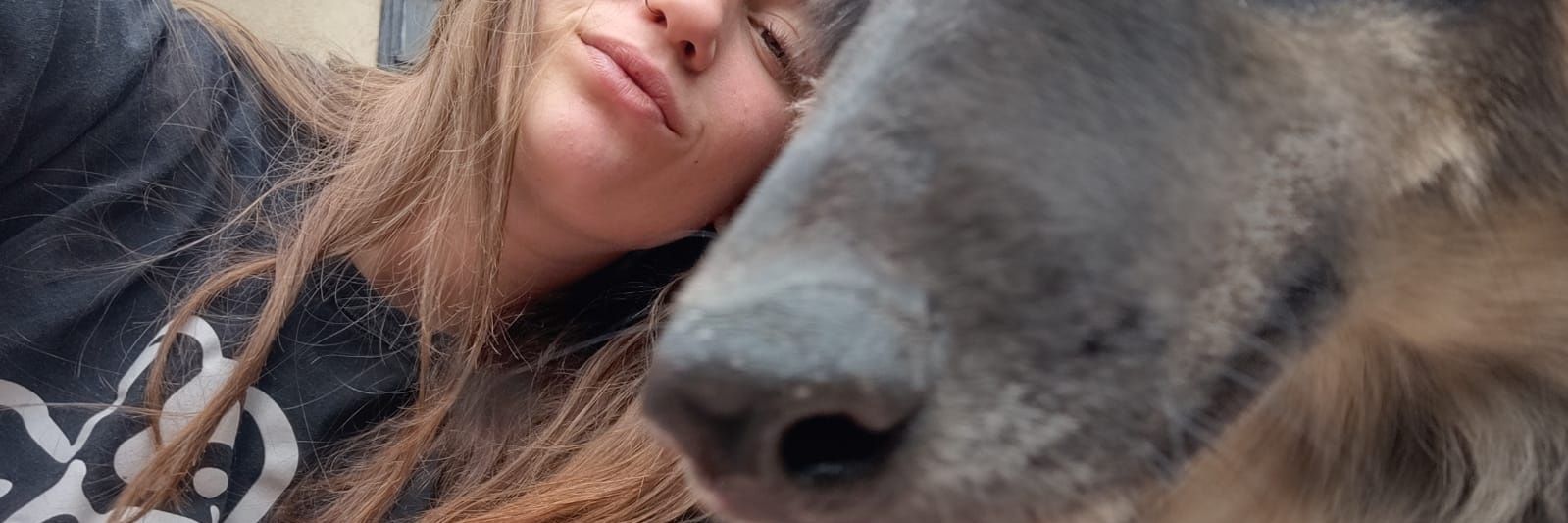 cataapinero's profile banner image