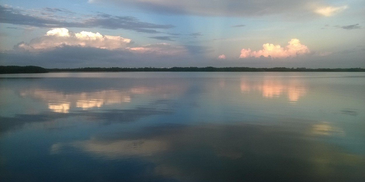 David Garrido banner