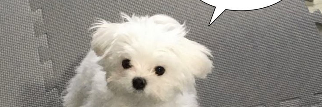 youshadowy's profile banner image