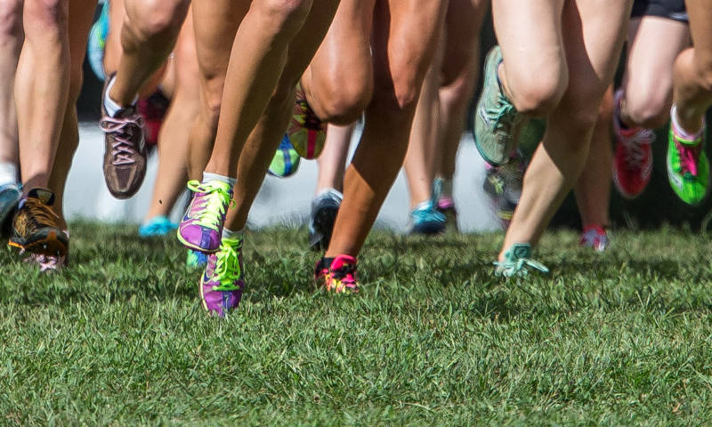 Watauga Middle XC banner