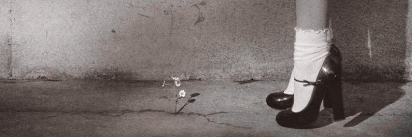 alli banner