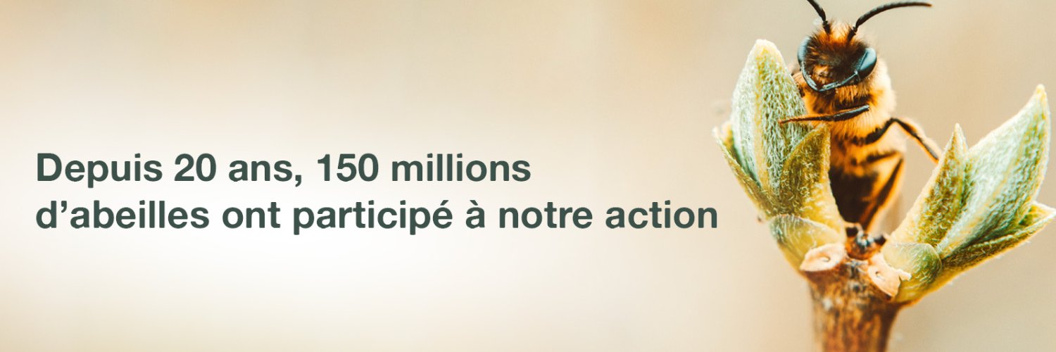 Apiflordev's profile banner image