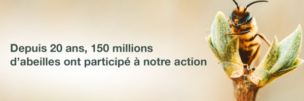 Apiflordev Profile Banner