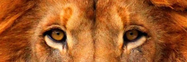 Phyrexia AKA GG banner