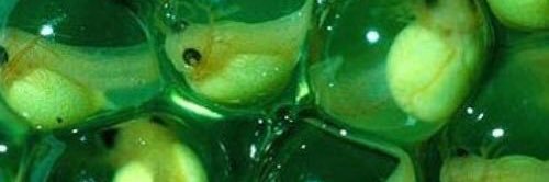 HoodBuns's profile banner image
