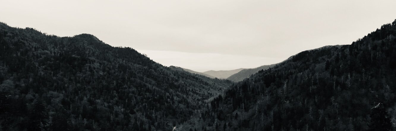 Anna_Doolin's profile banner image
