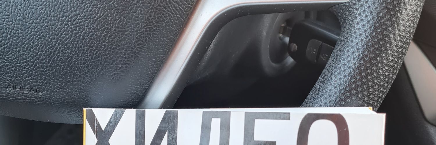 tesla_human's profile banner image