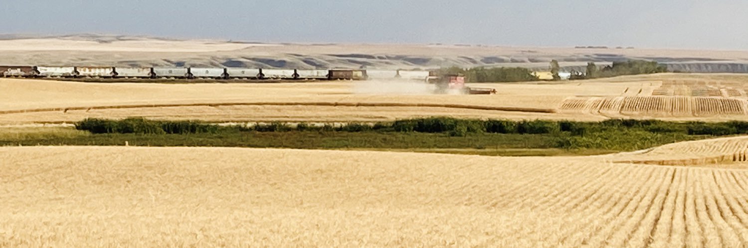 Hannah Konschuh banner