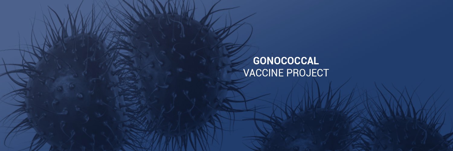 Gonovac banner