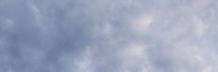 luvmydorks's profile banner image