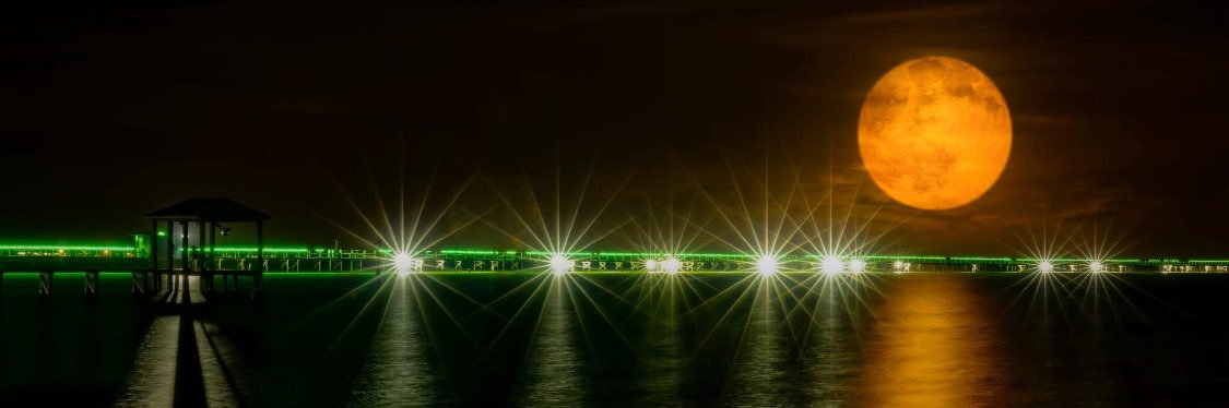 RF24Pirates's profile banner image